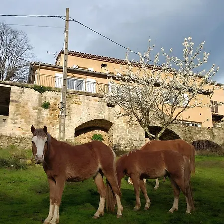 Du Mas St Esprit Avec Piscine