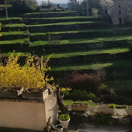 Du Mas St Esprit Avec Piscine